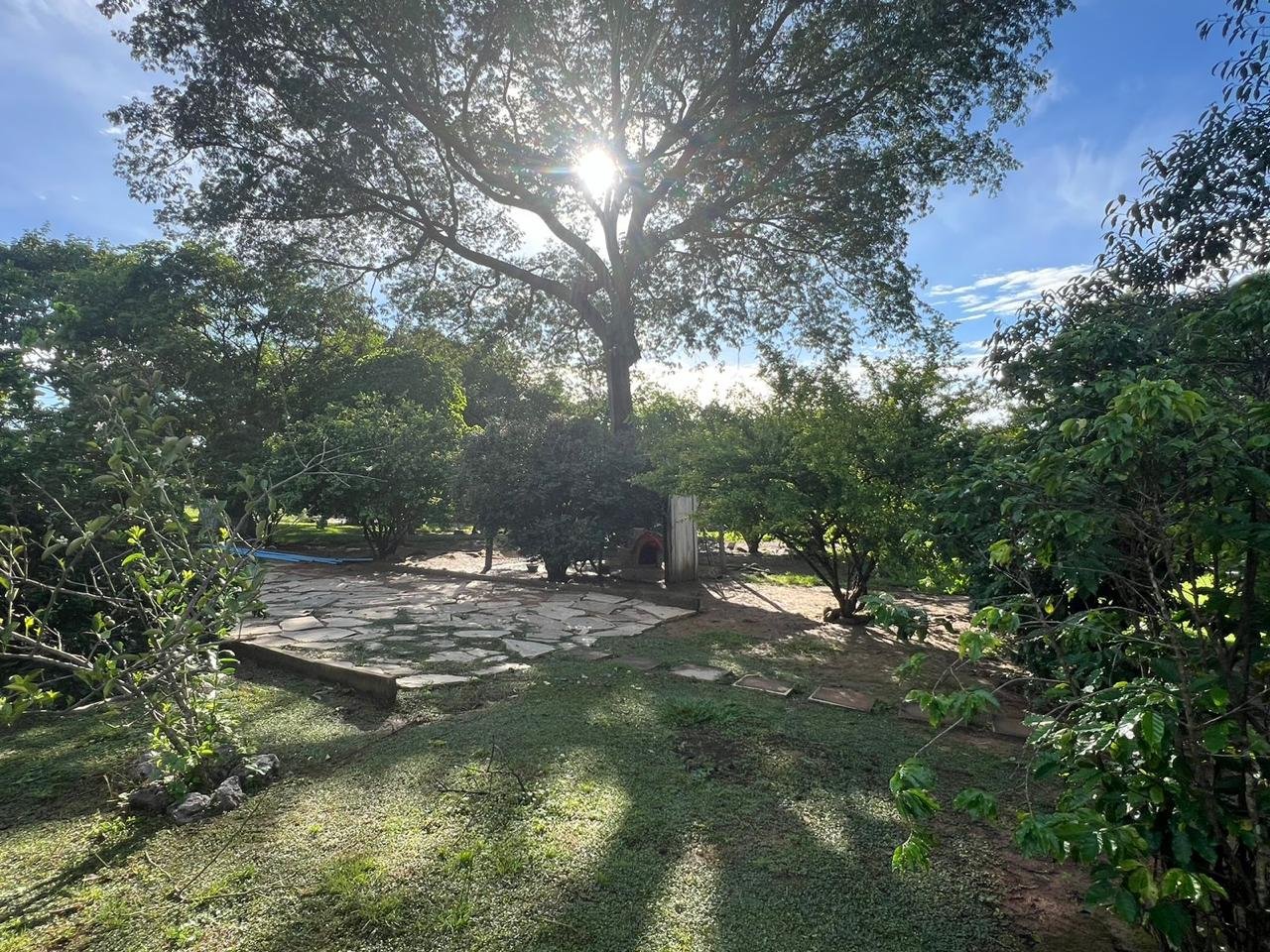 Fazenda à Venda Proximo a Cidade de Arinos