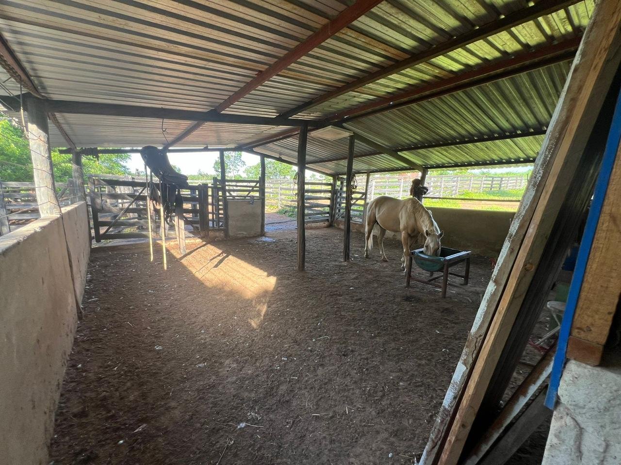 Fazenda à Venda Proximo a Cidade de Arinos