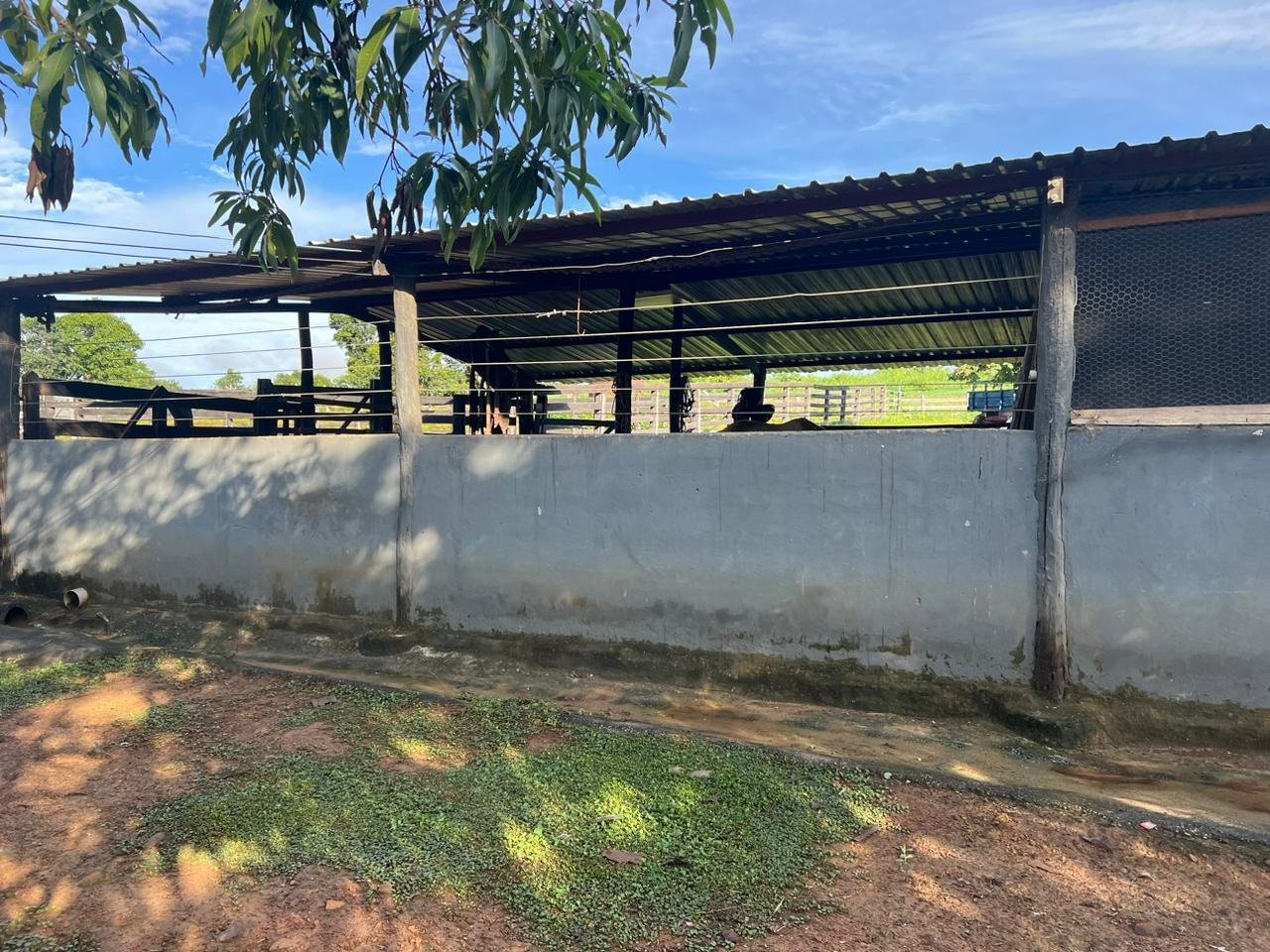 Fazenda à Venda Proximo a Cidade de Arinos