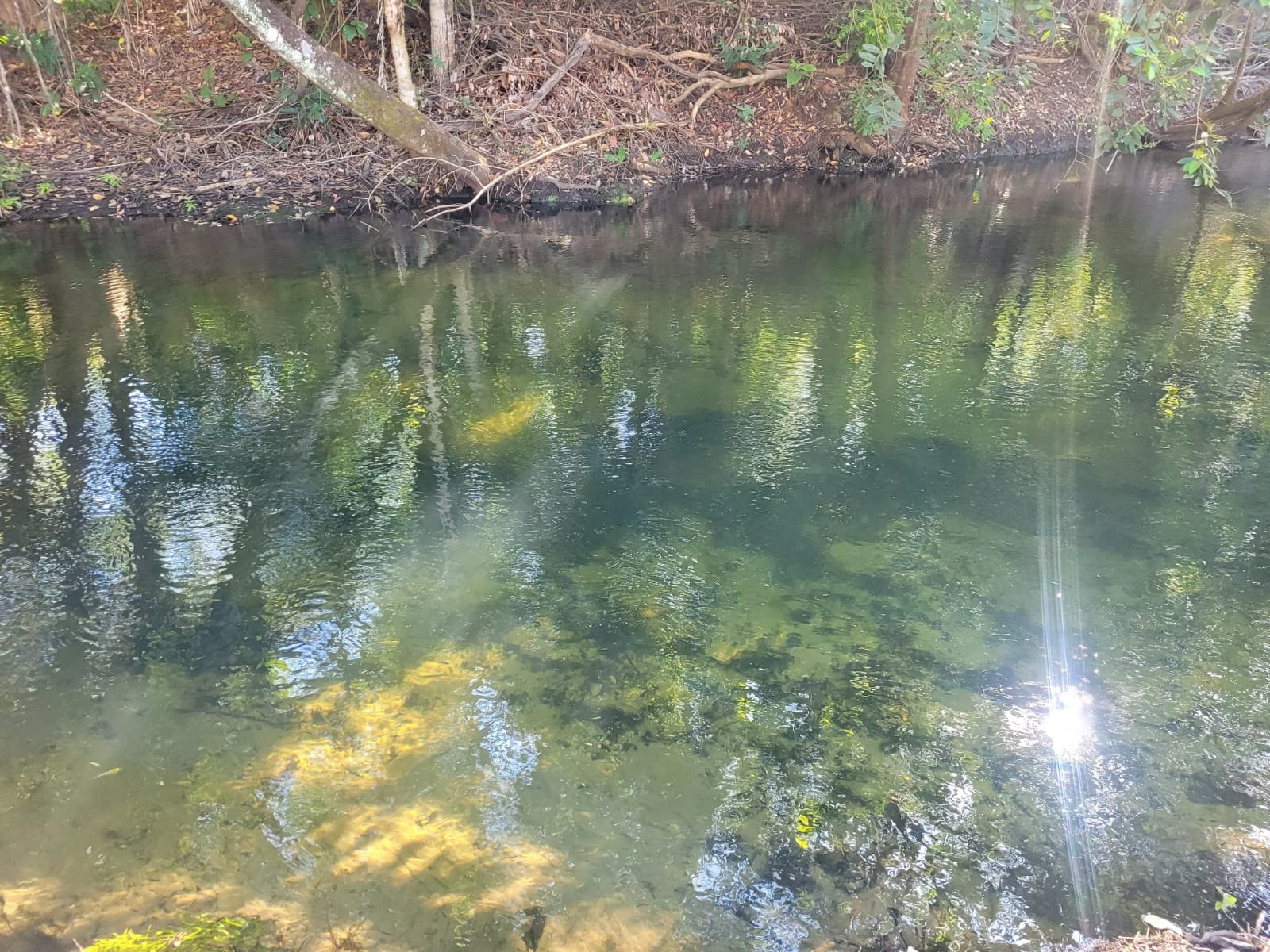 Chácara a venda emChapada Gaucha.