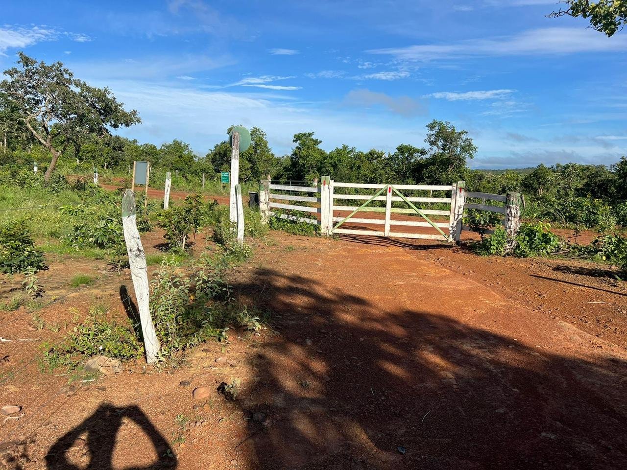 Fazenda à Venda Proximo a Cidade de Arinos