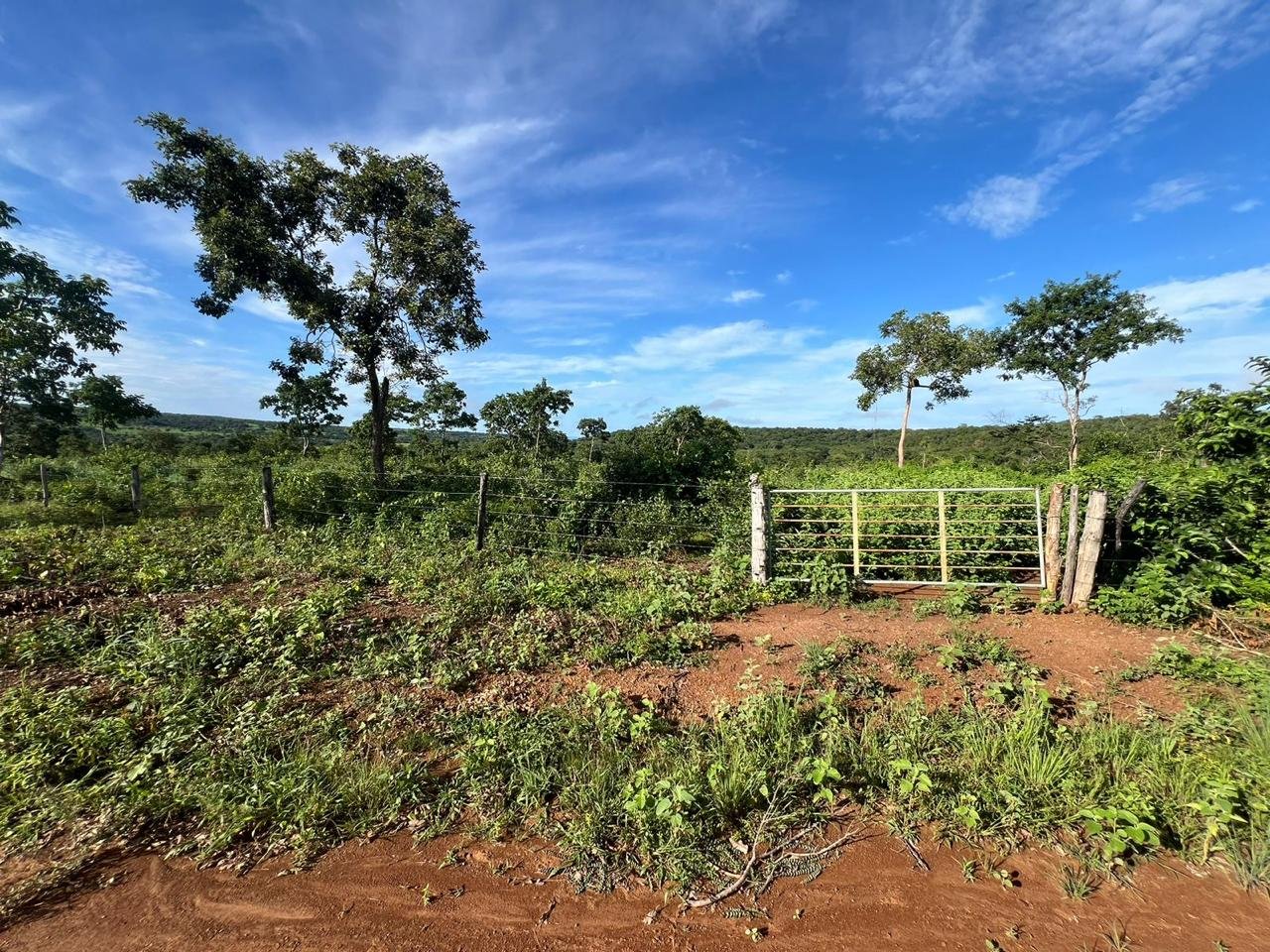 Fazenda à Venda Proximo a Cidade de Arinos