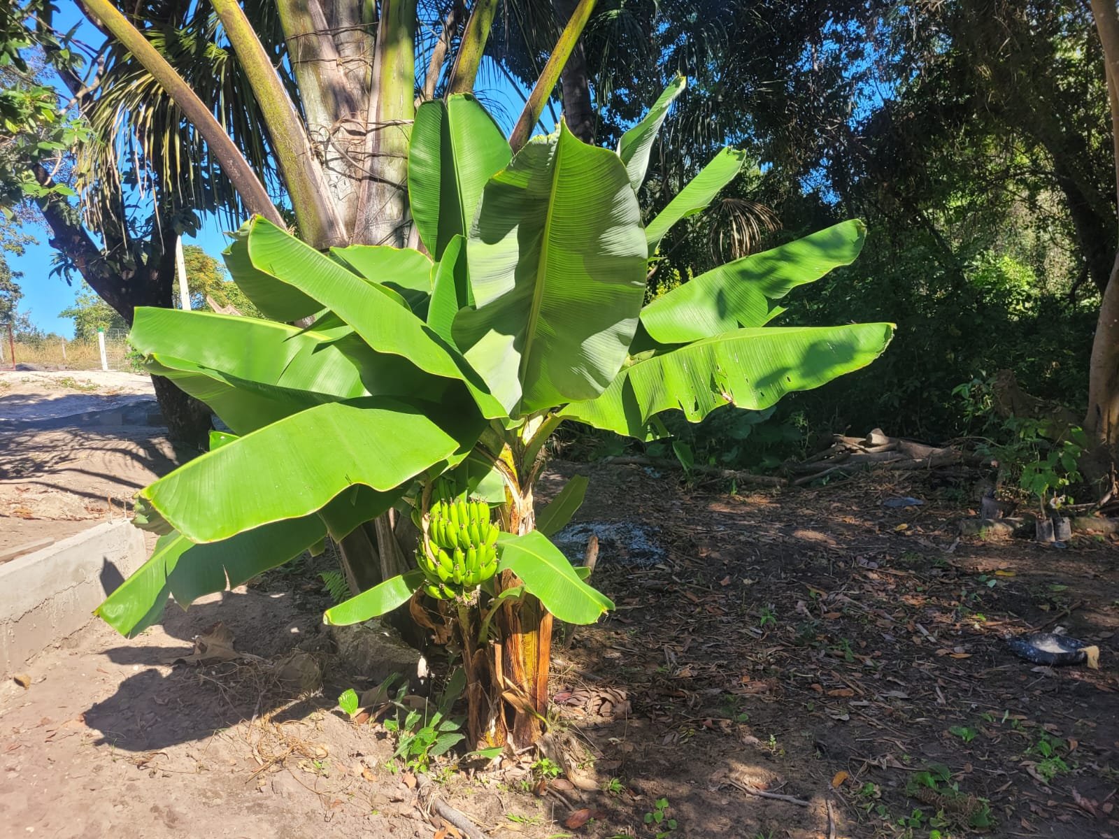 Chácara a venda emChapada Gaucha.