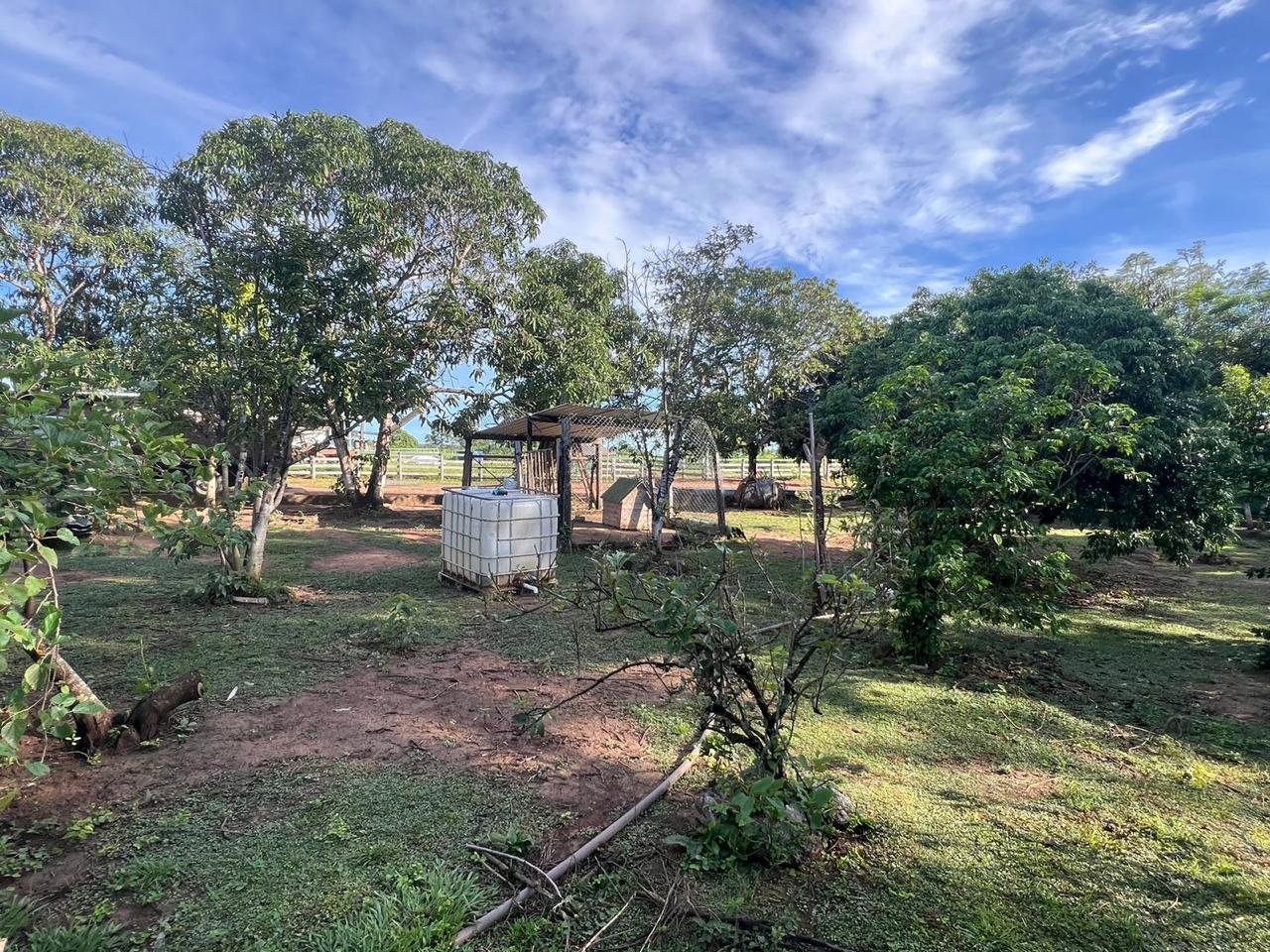 Fazenda à Venda Proximo a Cidade de Arinos