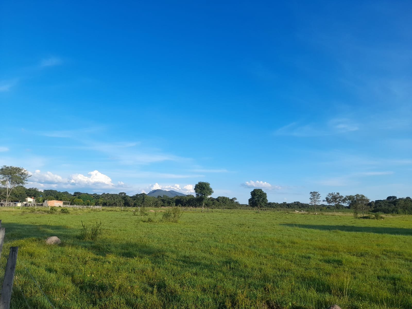 FAZENDA COM 24 HECTARE A VENDA NA REGIÃO DE FORMOSA.