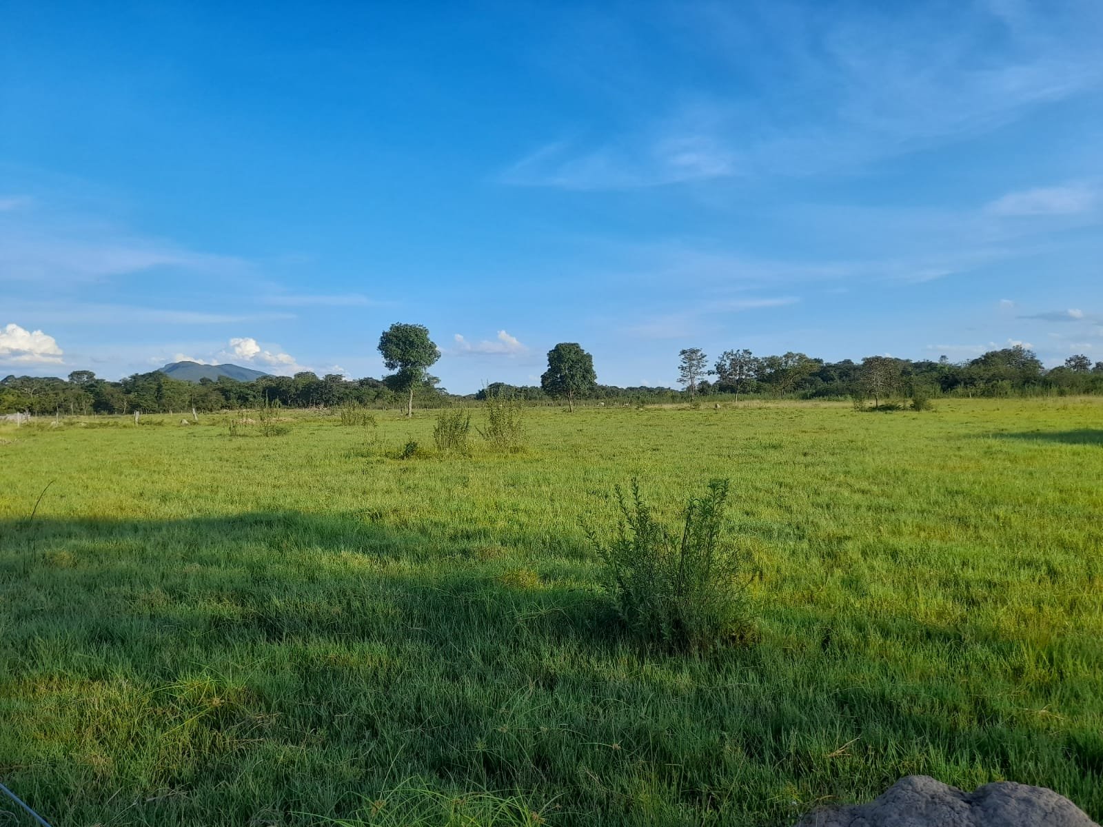 FAZENDA COM 24 HECTARE A VENDA NA REGIÃO DE FORMOSA.