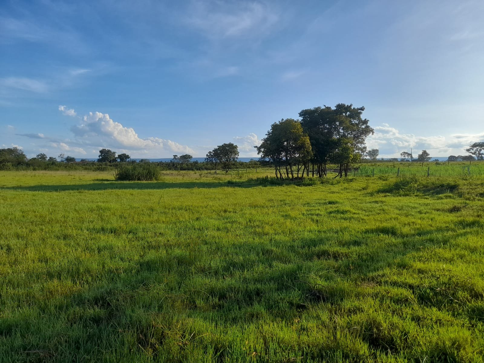 FAZENDA COM 24 HECTARE A VENDA NA REGIÃO DE FORMOSA.