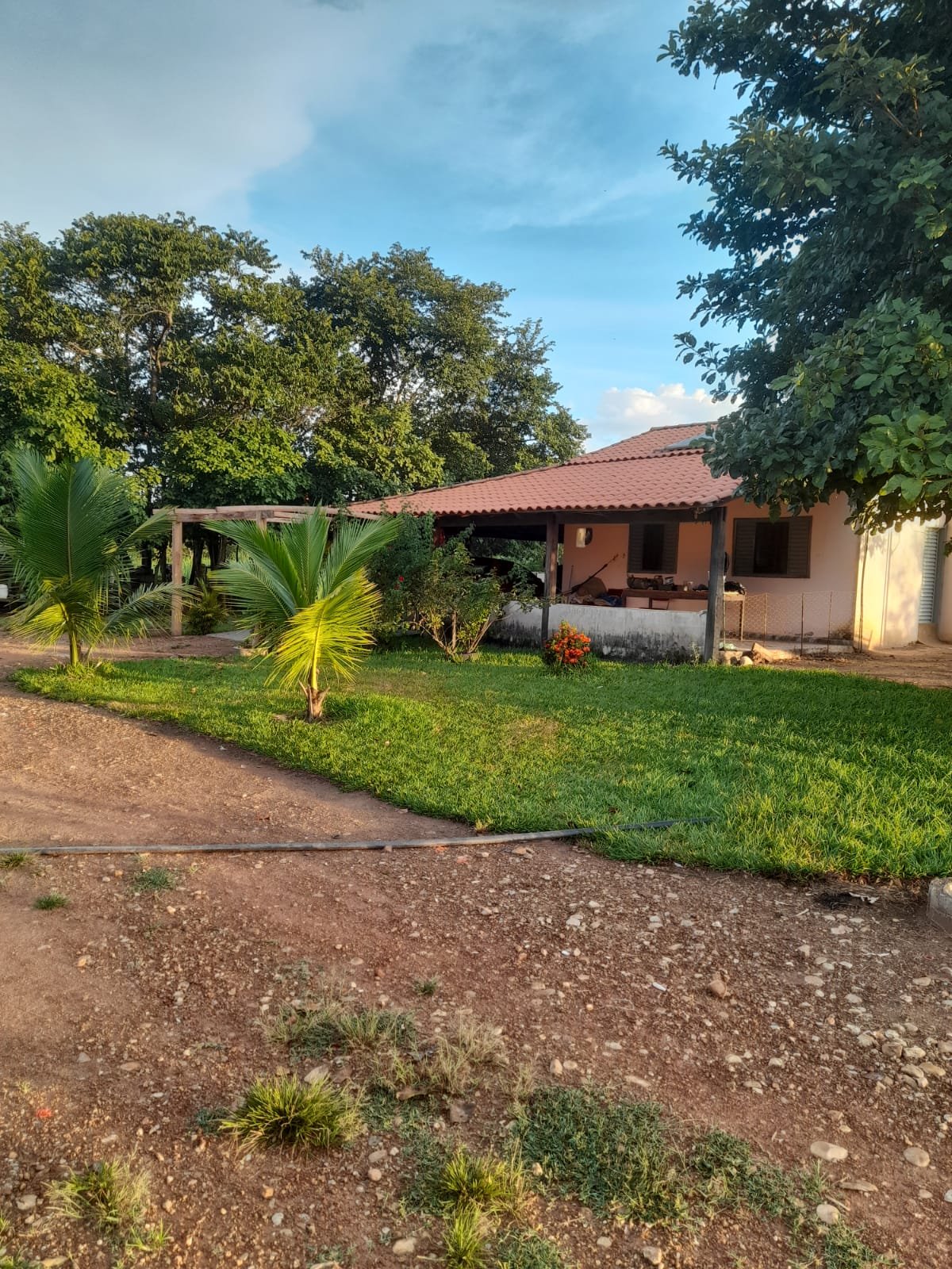 FAZENDA COM 24 HECTARE A VENDA NA REGIÃO DE FORMOSA.
