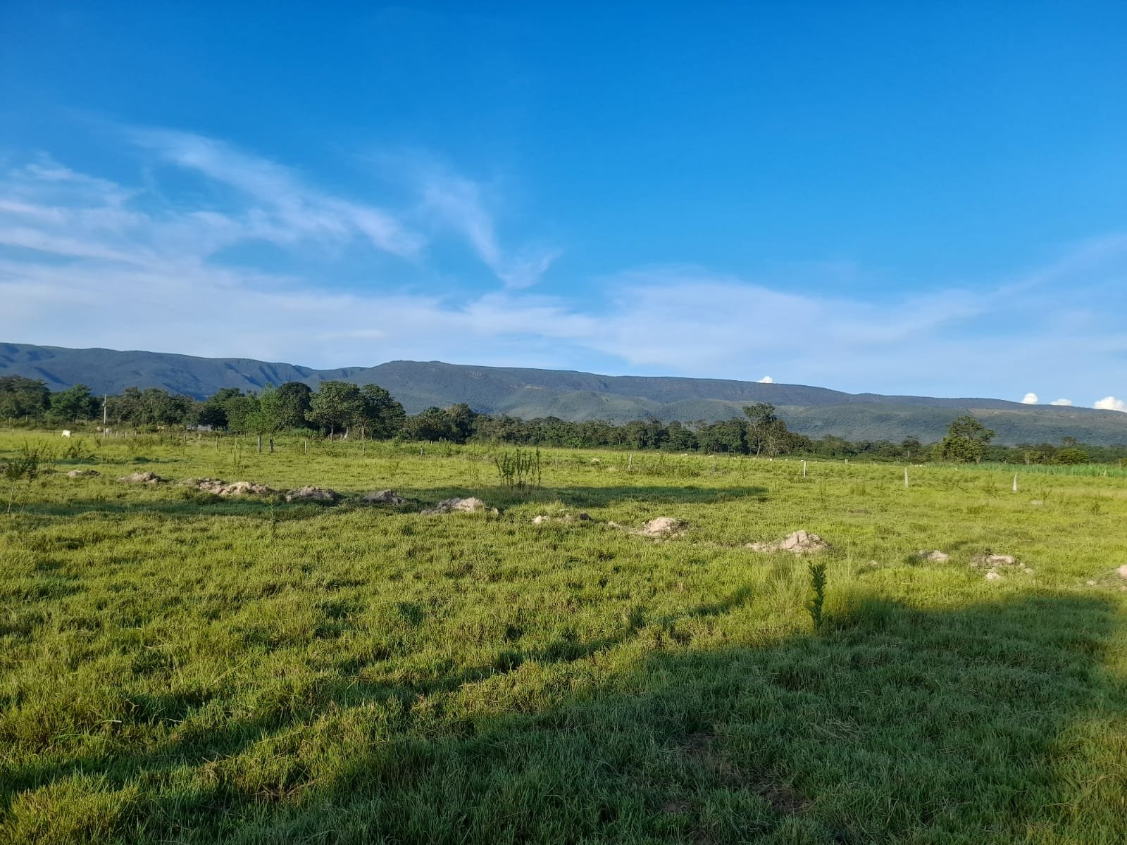 FAZENDA COM 24 HECTARE A VENDA NA REGIÃO DE FORMOSA.
