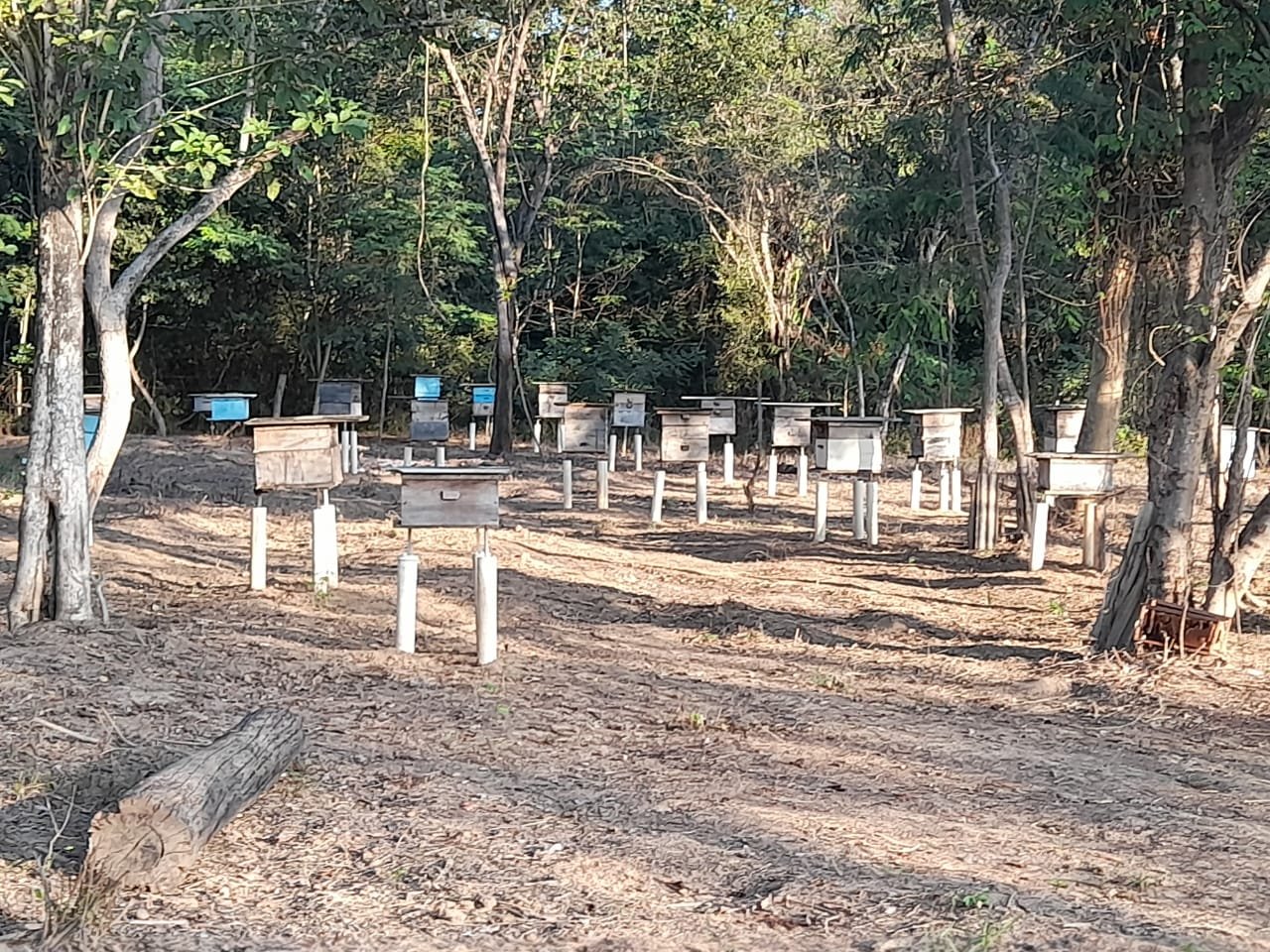 FAZENDA COM 24 HECTARE A VENDA NA REGIÃO DE FORMOSA.