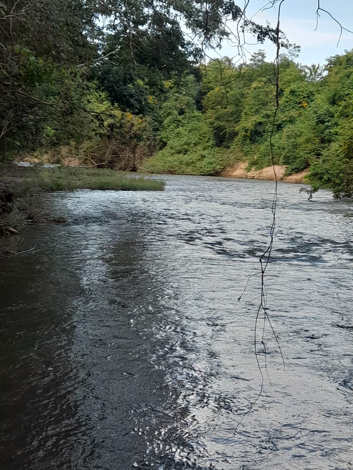 FAZENDA COM 24 HECTARE A VENDA NA REGIÃO DE FORMOSA.