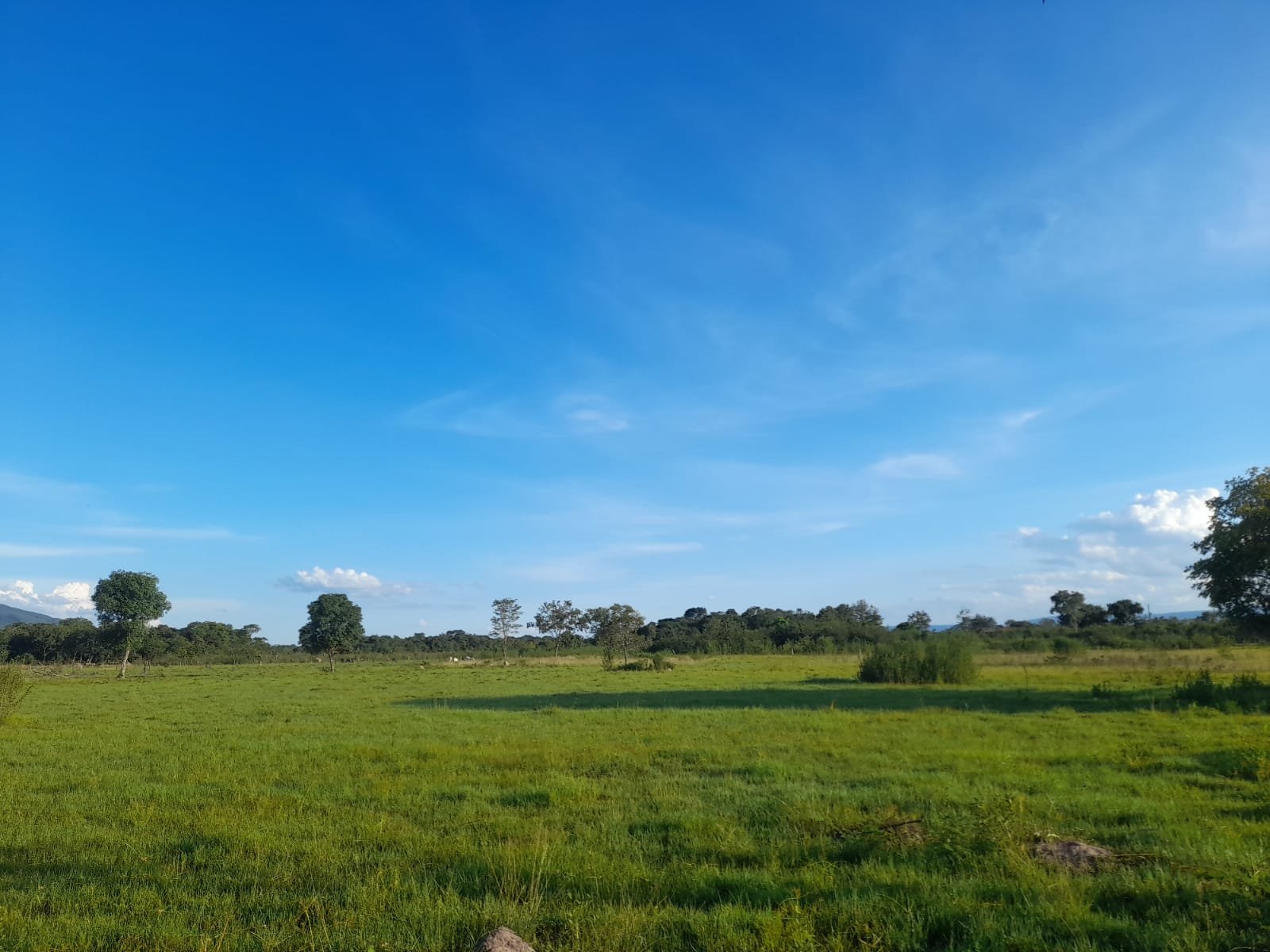 FAZENDA COM 24 HECTARE A VENDA NA REGIÃO DE FORMOSA.