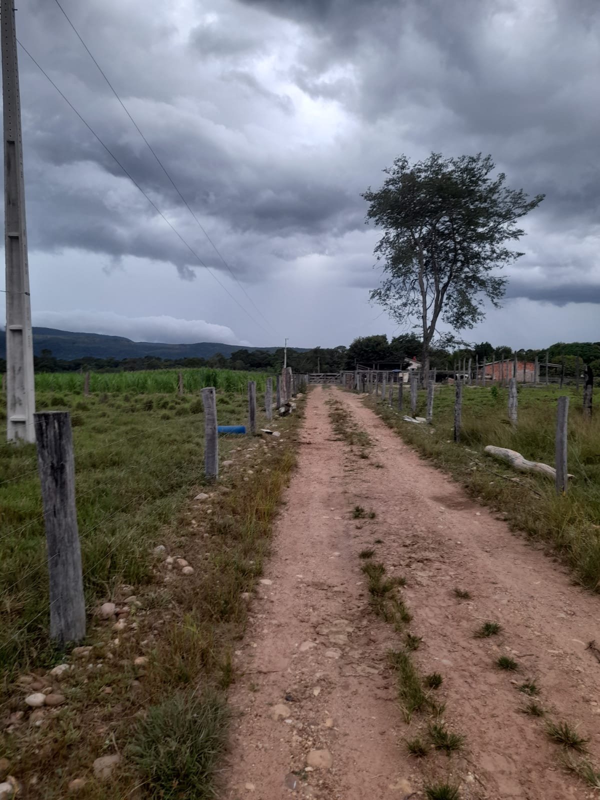 FAZENDA COM 24 HECTARE A VENDA NA REGIÃO DE FORMOSA.