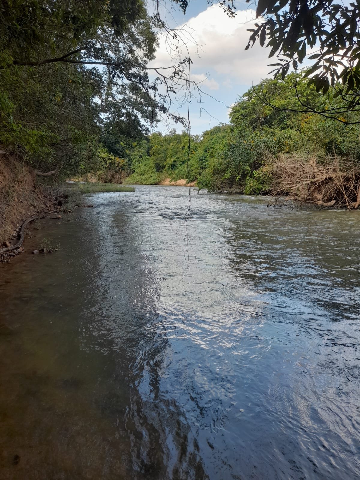 FAZENDA COM 24 HECTARE A VENDA NA REGIÃO DE FORMOSA.