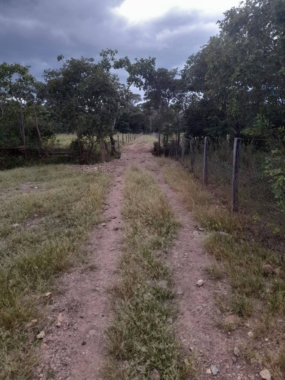 FAZENDA COM 24 HECTARE A VENDA NA REGIÃO DE FORMOSA.