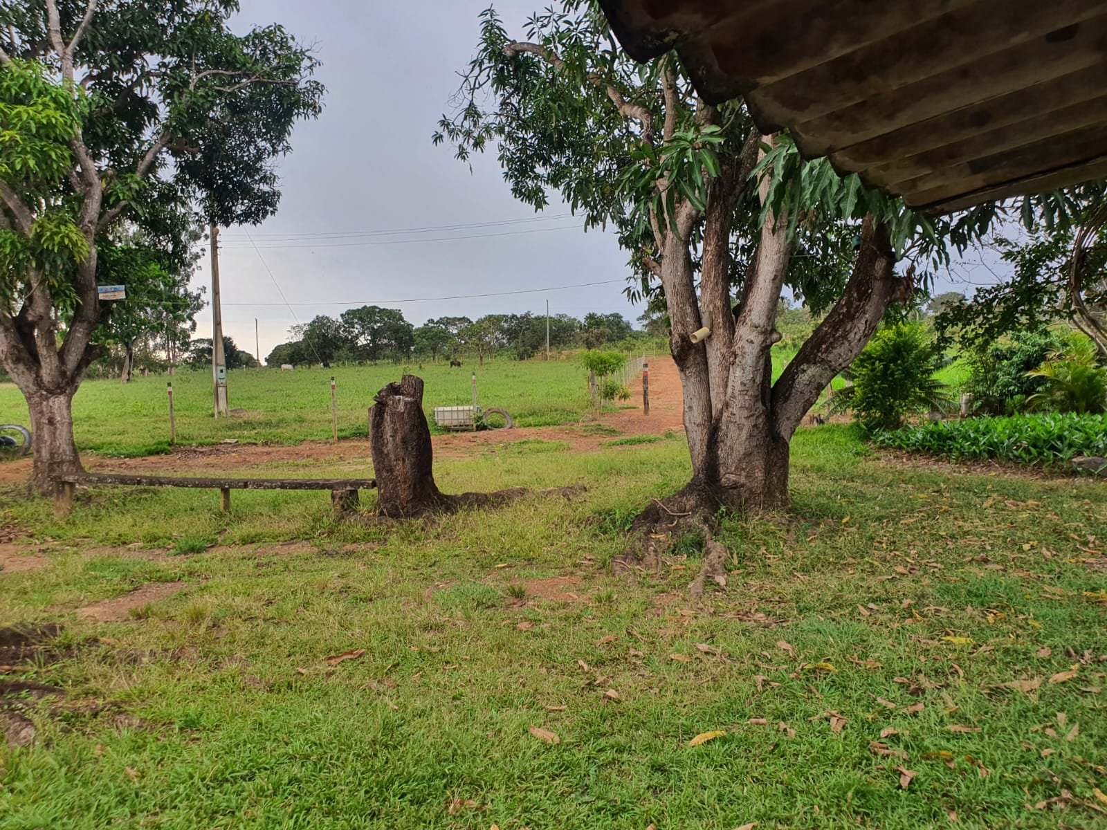 Fazenda à venda.
