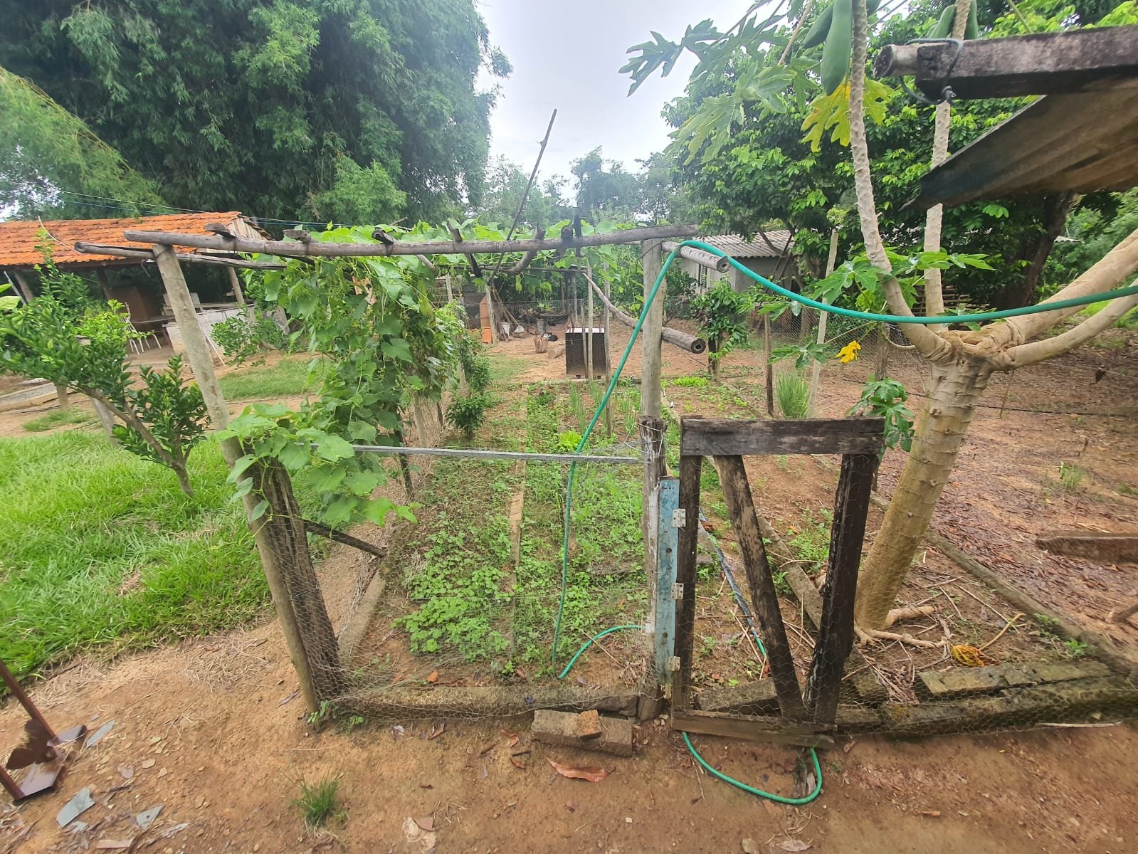 Fazenda à venda.