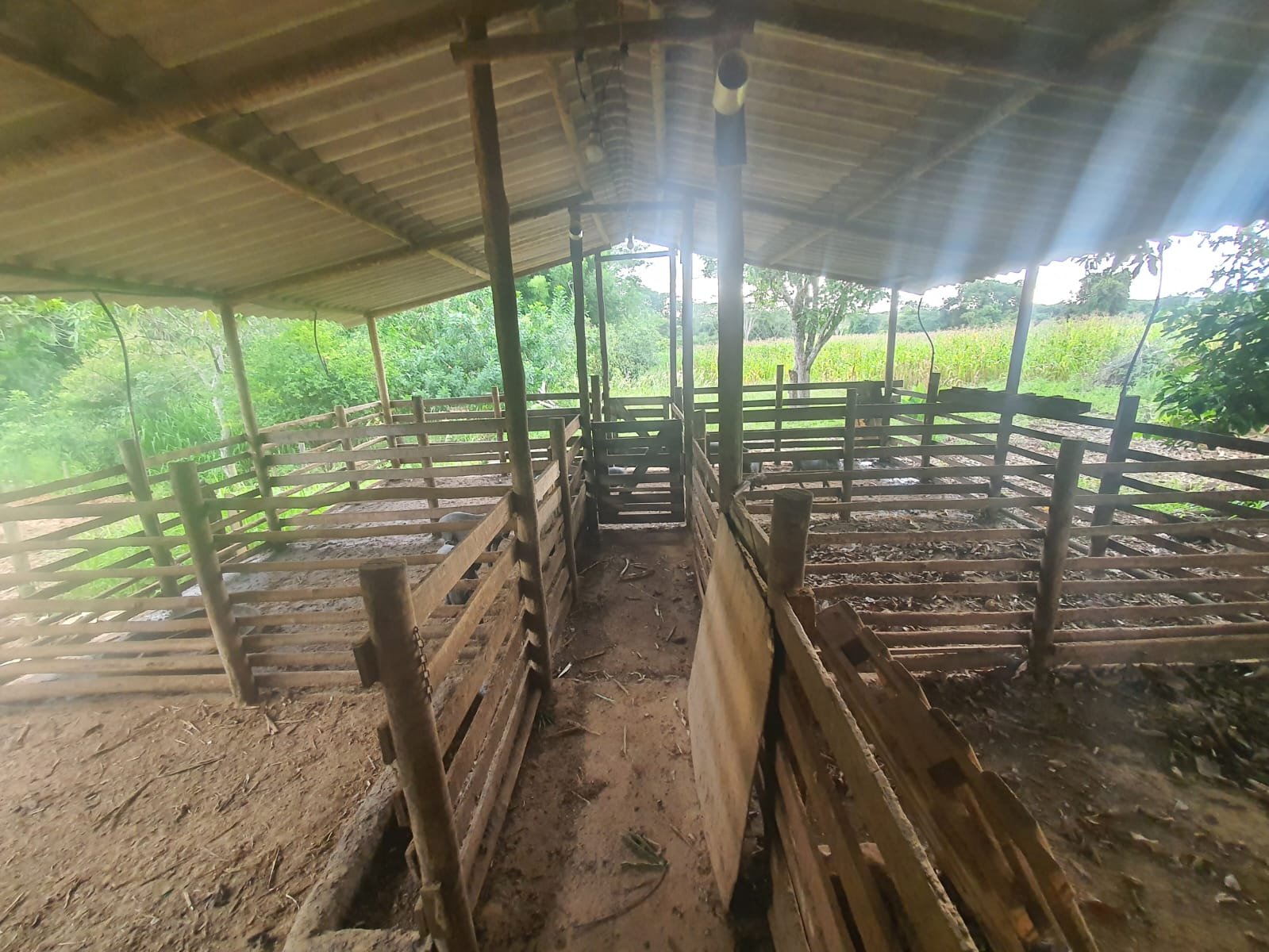 Fazenda à venda.