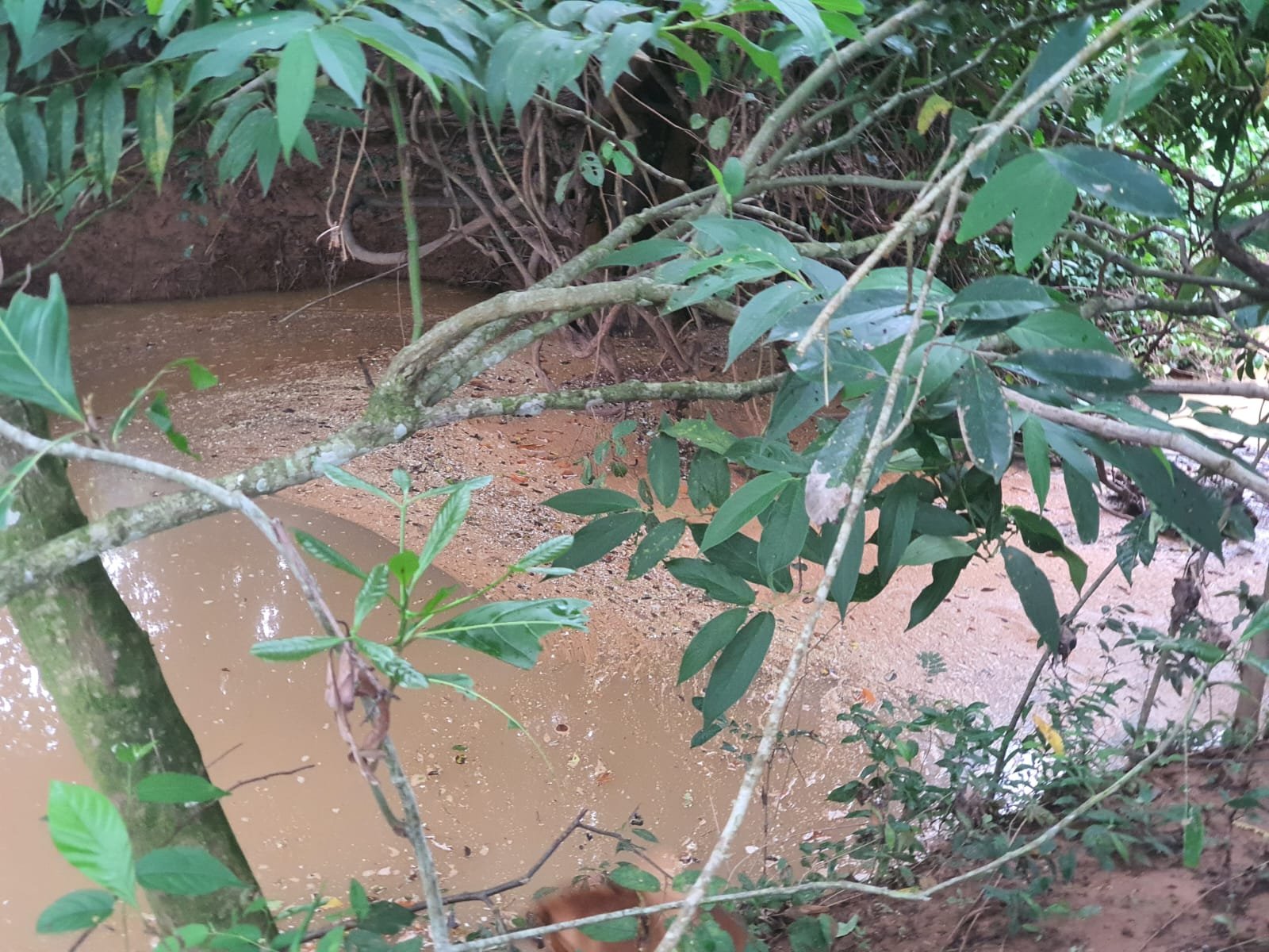 Fazenda à venda.