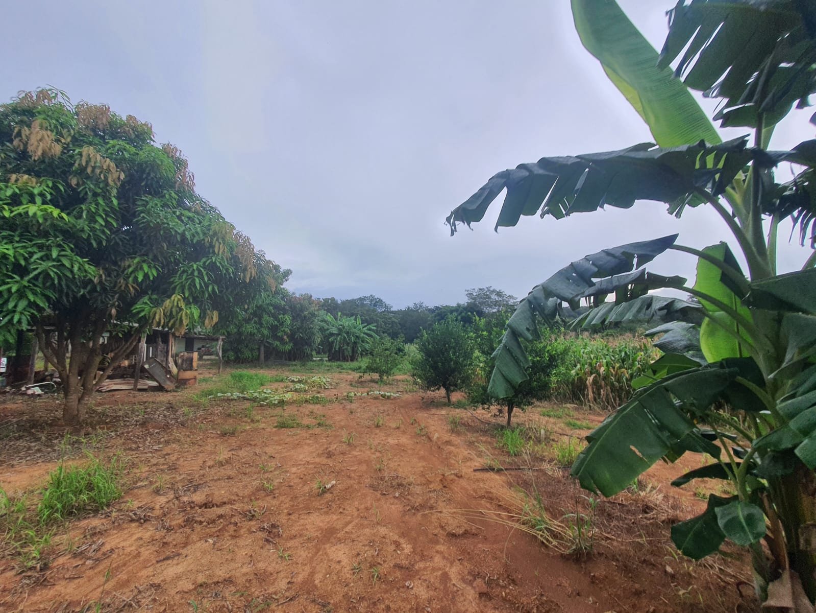 Fazenda à venda.