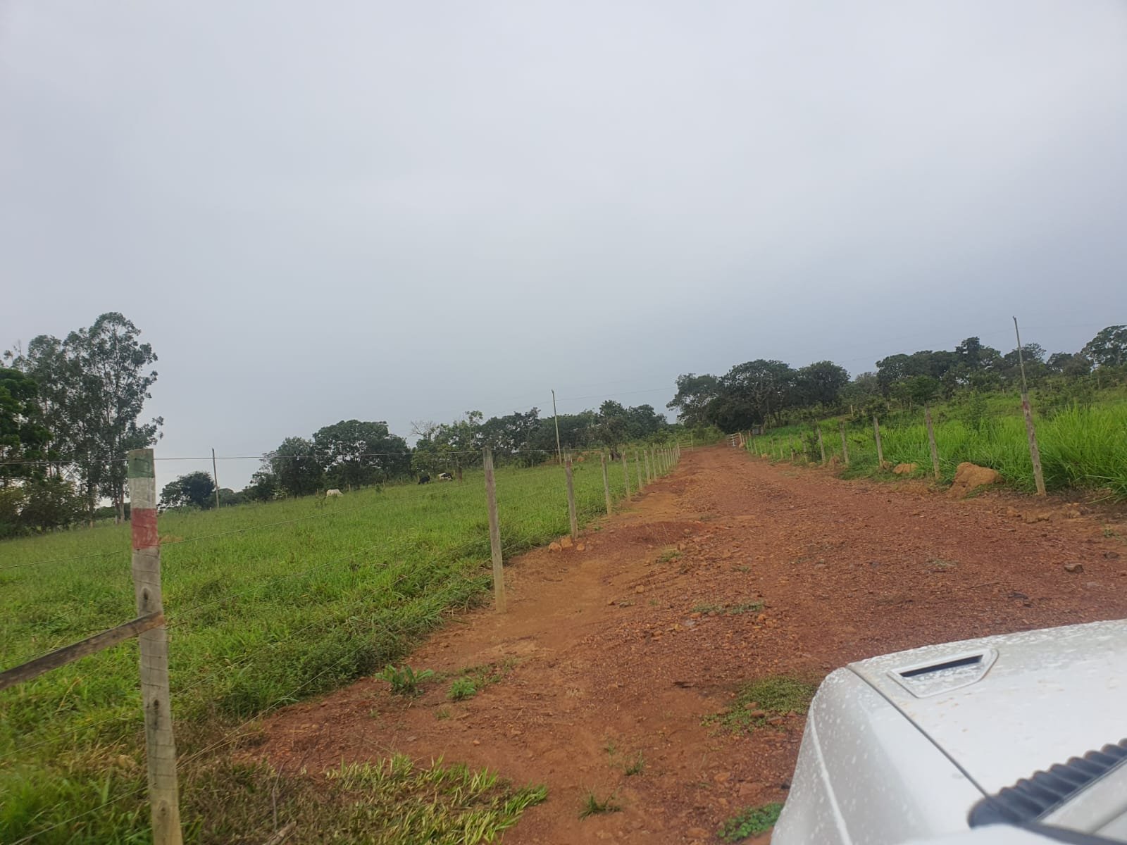 Fazenda à venda.