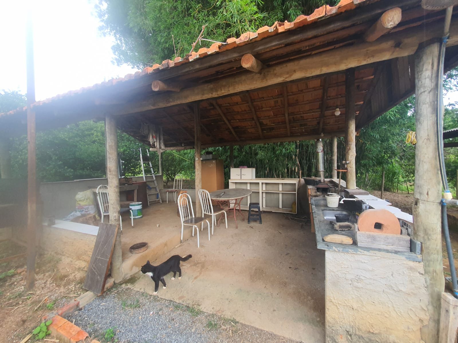 Fazenda à venda.