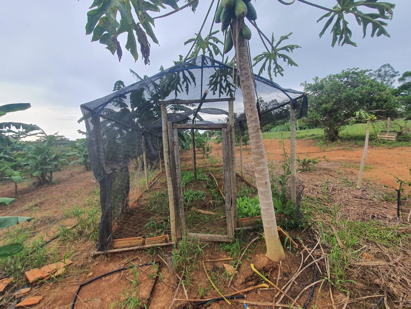 Fazenda à venda.